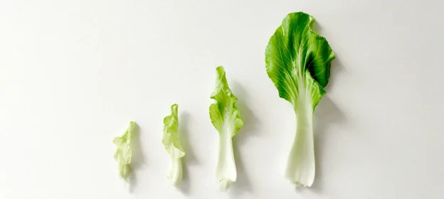 h-co-iyXm8mgsBcI-unsplash